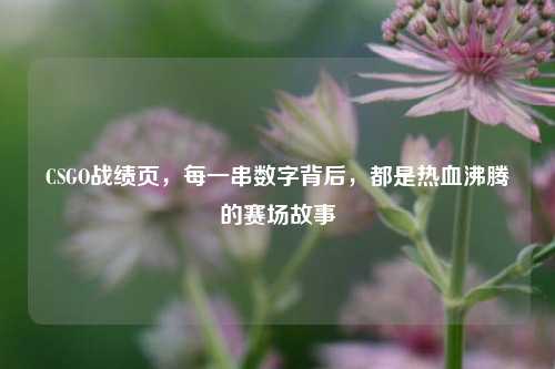 CSGO战绩页,每一串数字背后,都是热血沸腾的赛场故事
