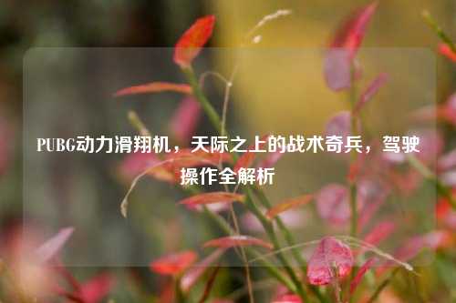 PUBG动力滑翔机,天际之上的战术奇兵,驾驶操作全解析