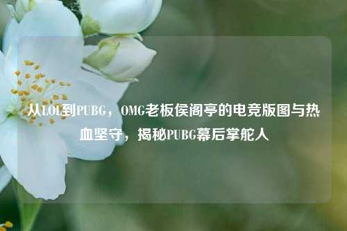 从LOL到PUBG，OMG老板侯阁亭的电竞版图与热血坚守，揭秘PUBG幕后掌舵人