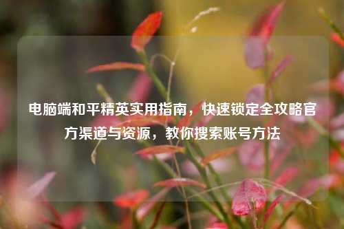 电脑端和平精英实用指南,快速锁定全攻略官方渠道与资源,教你搜索账号方法