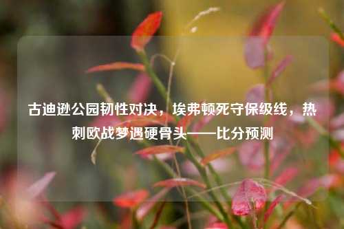 古迪逊公园韧性对决，埃弗顿死守保级线，热刺欧战梦遇硬骨头——比分预测