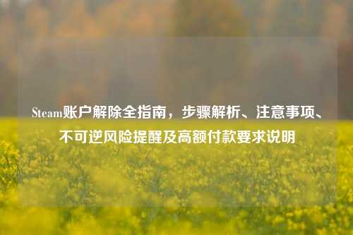 Steam账户解除全指南，步骤解析、注意事项、不可逆风险提醒及高额付款要求说明