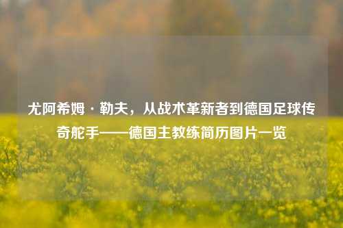 尤阿希姆·勒夫,从战术革新者到德国足球传奇舵手——德国主教练简历图片一览