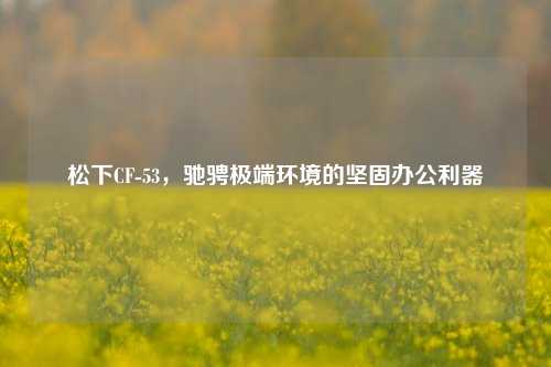 松下CF-53，驰骋极端环境的坚固办公利器