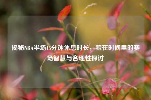 揭秘NBA半场15分钟休息时长，藏在时间里的赛场智慧与合理性探讨