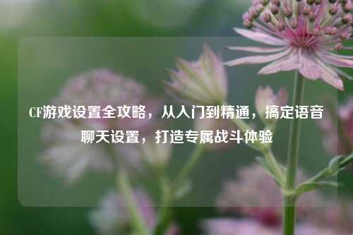 CF游戏设置全攻略,从入门到精通,搞定语音聊天设置,打造专属战斗体验