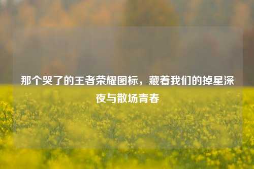 那个哭了的王者荣耀图标，藏着我们的掉星深夜与散场青春