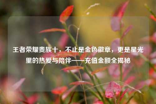 王者荣耀贵族十,不止是金色徽章,更是星光里的热爱与陪伴——充值金额全揭秘
