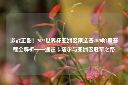 激战正酣！2022世界杯亚洲区预选赛2020阶段赛程全解析——通往卡塔尔与亚洲区冠军之路