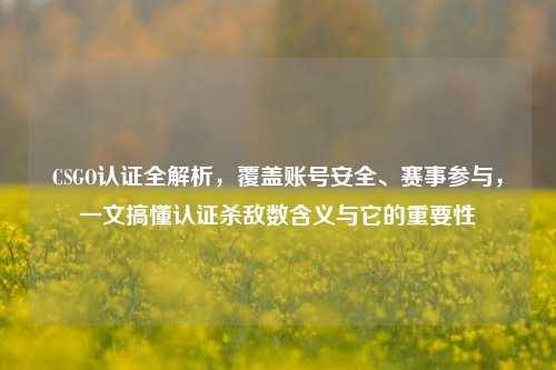 CSGO认证全解析，覆盖账号安全、赛事参与，一文搞懂认证杀敌数含义与它的重要性