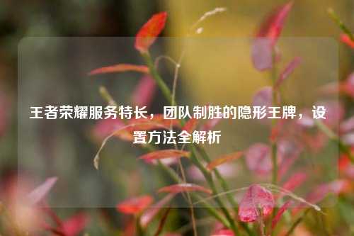 王者荣耀服务特长，团队制胜的隐形王牌，设置方法全解析