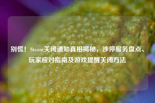 别慌！Steam关闭通知真相揭秘，涉停服务盘点、玩家应对指南及游戏提醒关闭方法