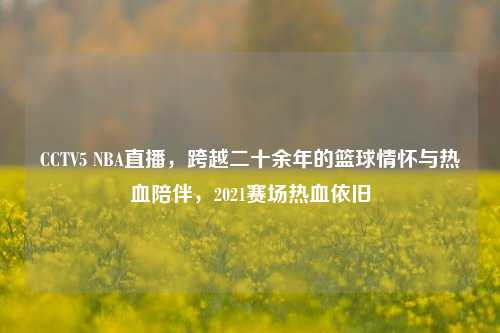 CCTV5 NBA直播,跨越二十余年的篮球情怀与热血陪伴,2021赛场热血依旧