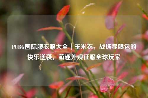 PUBG国际服衣服大全|玉米衣,战场显眼包的快乐逆袭,萌趣外观征服全球玩家