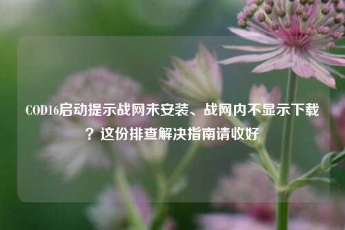 COD16启动提示战网未安装、战网内不显示下载？这份排查解决指南请收好