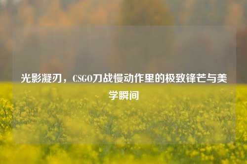 光影凝刃，CSGO刀战慢动作里的极致锋芒与美学瞬间