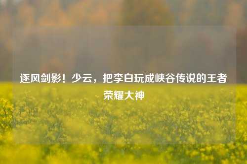 逐风剑影！少云，把李白玩成峡谷传说的王者荣耀大神