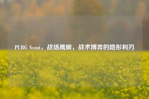 PUBG Scout，战场鹰眼，战术博弈的隐形利刃