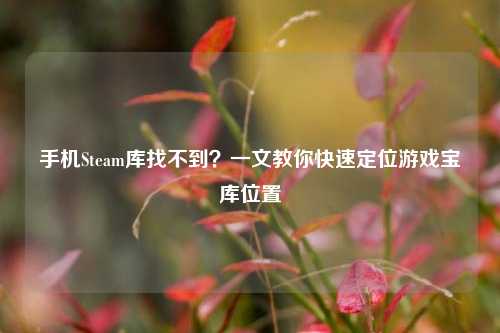 手机Steam库找不到？一文教你快速定位游戏宝库位置