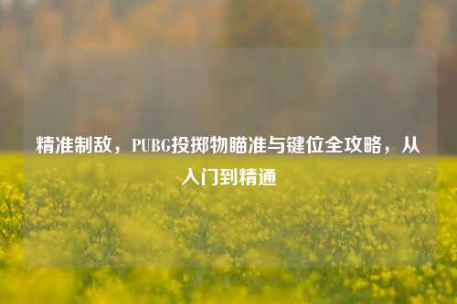 精准制敌,PUBG投掷物瞄准与键位全攻略,从入门到精通