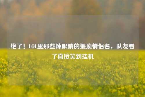 绝了！LOL里那些辣眼睛的猥琐情侣名，队友看了直接笑到挂机