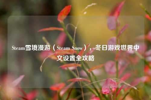 Steam雪境漫游（Steam Snow），冬日游戏世界中文设置全攻略
