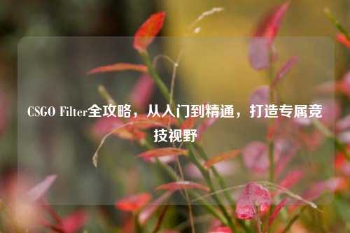 CSGO Filter全攻略,从入门到精通,打造专属竞技视野