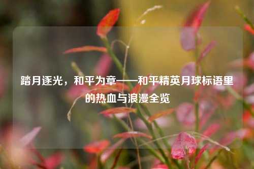 踏月逐光，和平为章——和平精英月球标语里的热血与浪漫全览