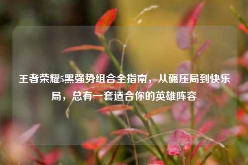 王者荣耀5黑强势组合全指南,从碾压局到快乐局,总有一套适合你的英雄阵容