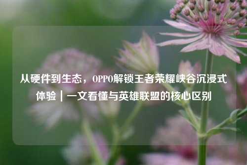 从硬件到生态，OPPO解锁王者荣耀峡谷沉浸式体验｜一文看懂与英雄联盟的核心区别