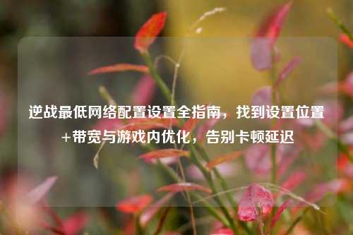 逆战最低网络配置设置全指南，找到设置位置+带宽与游戏内优化，告别卡顿延迟