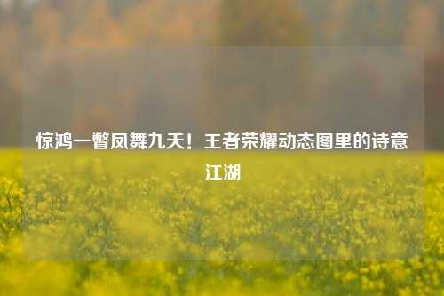 惊鸿一瞥凤舞九天!王者荣耀动态图里的诗意江湖