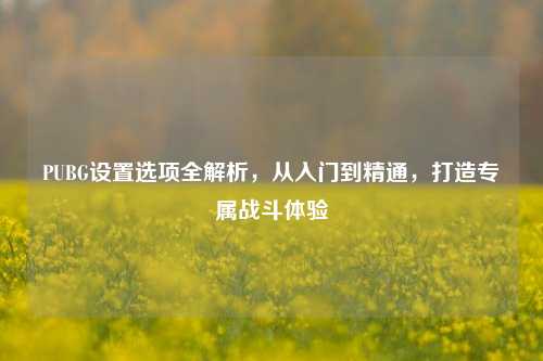 PUBG设置选项全解析,从入门到精通,打造专属战斗体验