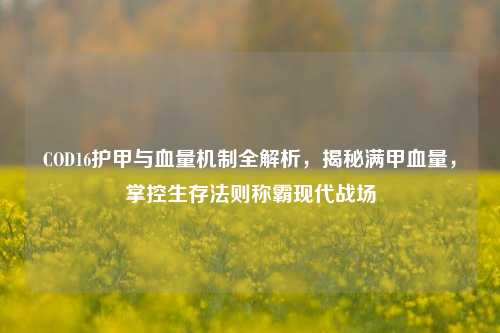 COD16护甲与血量机制全解析，揭秘满甲血量，掌控生存法则称霸现代战场