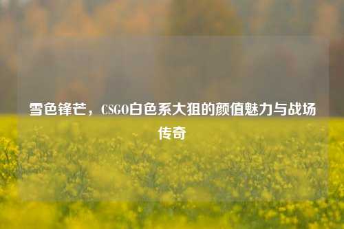 雪色锋芒，CSGO白色系大狙的颜值魅力与战场传奇