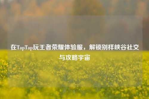在TapTap玩王者荣耀体验服，解锁别样峡谷社交与攻略宇宙