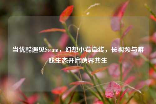 当优酷遇见Steam，幻想小莓牵线，长视频与游戏生态开启跨界共生