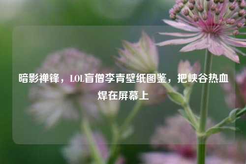 暗影禅锋,LOL盲僧李青壁纸图鉴,把峡谷热血焊在屏幕上