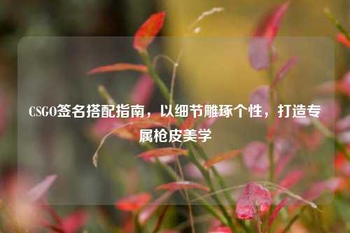 CSGO签名搭配指南，以细节雕琢个性，打造专属枪皮美学
