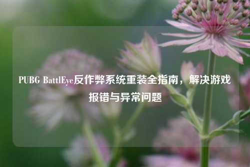 PUBG BattlEye反作弊系统重装全指南，解决游戏报错与异常问题