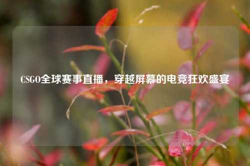 CSGO全球赛事直播，穿越屏幕的电竞狂欢盛宴