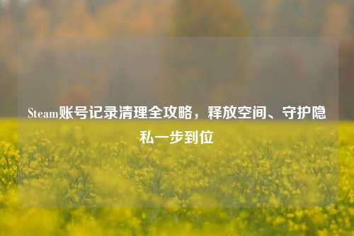 Steam账号记录清理全攻略，释放空间、守护隐私一步到位