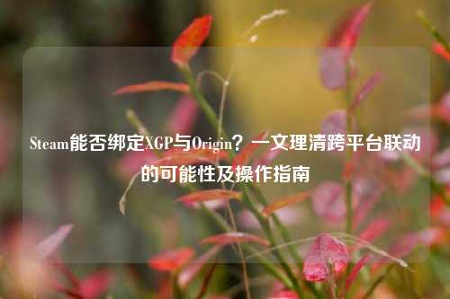 Steam能否绑定XGP与Origin？一文理清跨平台联动的可能性及操作指南