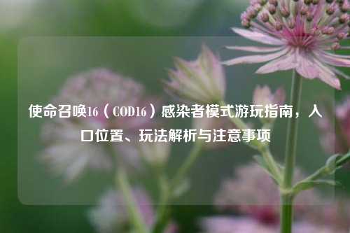 使命召唤16(COD16)感染者模式游玩指南,入口位置、玩法解析与注意事项