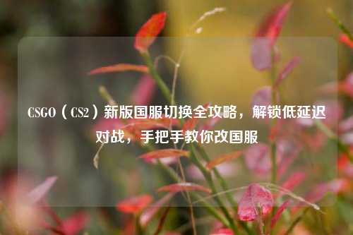 CSGO（CS2）新版国服切换全攻略，解锁低延迟对战，手把手教你改国服