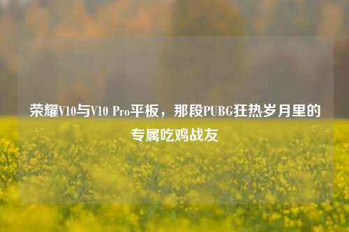 荣耀V10与V10 Pro平板,那段PUBG狂热岁月里的专属吃鸡战友