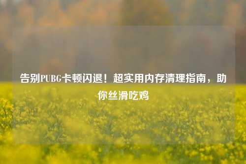 告别PUBG卡顿闪退!超实用内存清理指南,助你丝滑吃鸡