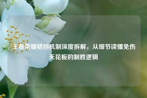 王者荣耀格挡机制深度拆解，从细节读懂免伤天花板的制胜逻辑
