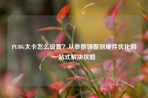 PUBG太卡怎么设置？从参数调整到硬件优化的一站式解决攻略