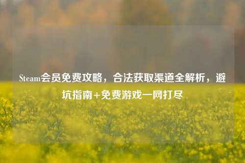 Steam会员免费攻略,合法获取渠道全解析,避坑指南+免费游戏一网打尽